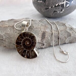 Fossil Ammonite Pendant with Silver Chain